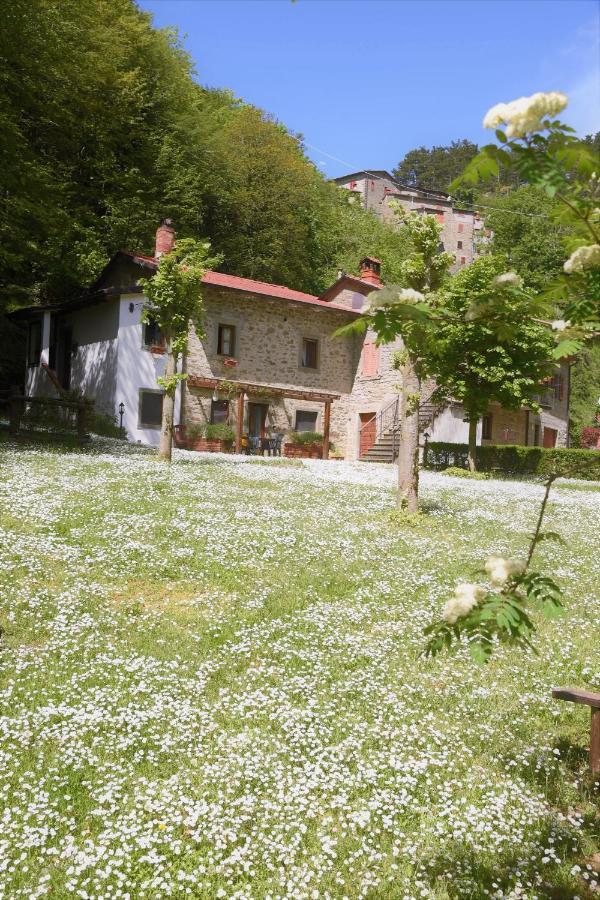 Il Molino Di Serravalle Биббьена Экстерьер фото