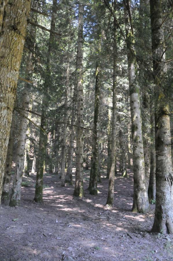 Il Molino Di Serravalle Биббьена Экстерьер фото